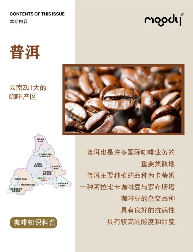 彩云之南的馥郁传奇pg电子云南咖啡：(图13)
