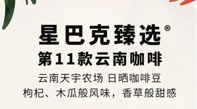 彩云之南的馥郁传奇pg电子云南咖啡：(图15)