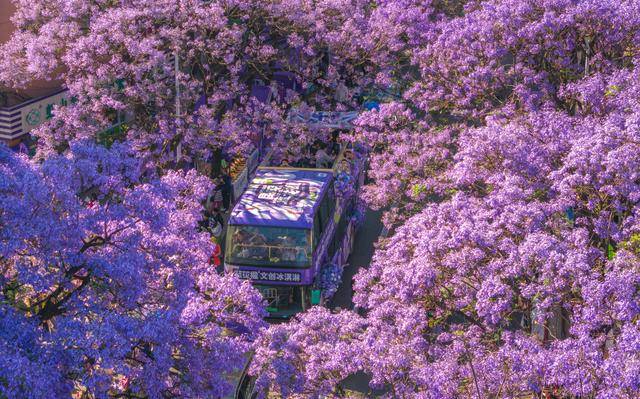 更优服务繁荣文旅市场pg电子试玩入口以(图2)