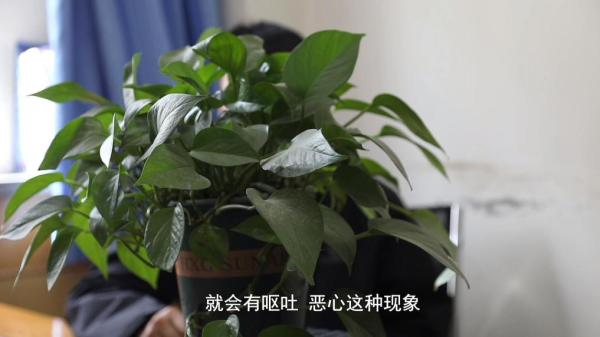 咖啡”被查！同款产品却仍在销售pg电子平台超千万元有毒“减肥(图2)